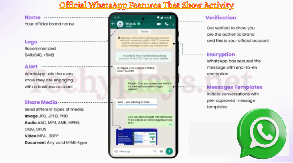 Official WhatsApp Features That Show Activity